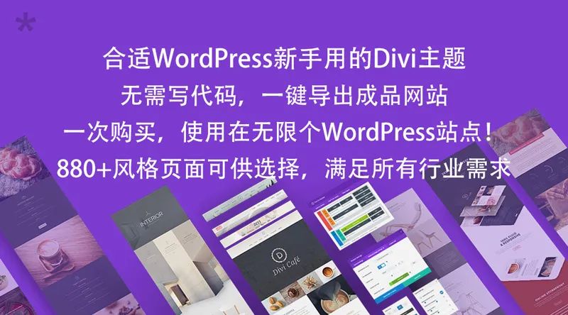 divi theme